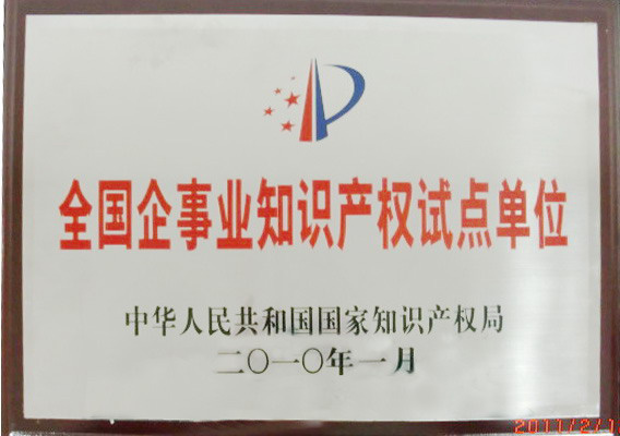 2、國(guó)家級(jí)-全國(guó)企事業(yè)知識(shí)產(chǎn)權(quán)試點(diǎn)單位-(1).jpg