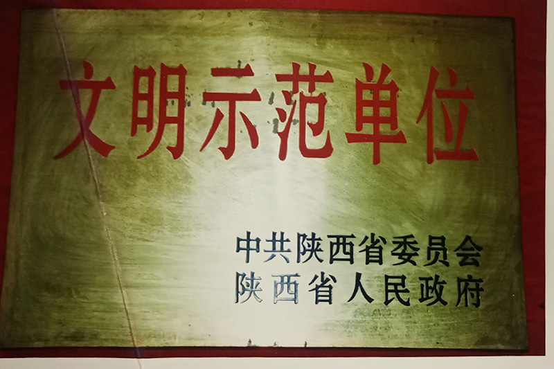 10、省級-陜西省文明示范單位.jpg