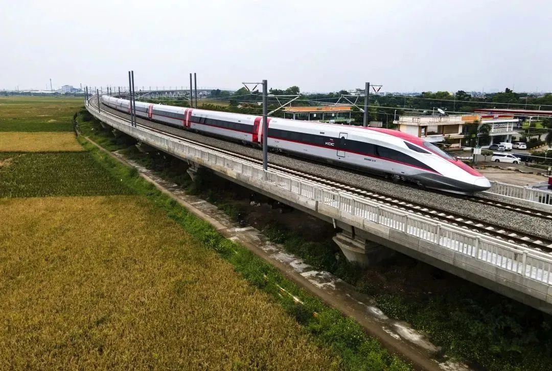 081686210421399614.jpeg 4.jpg